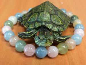 10676211_517998121669416_3857244770222424859_n